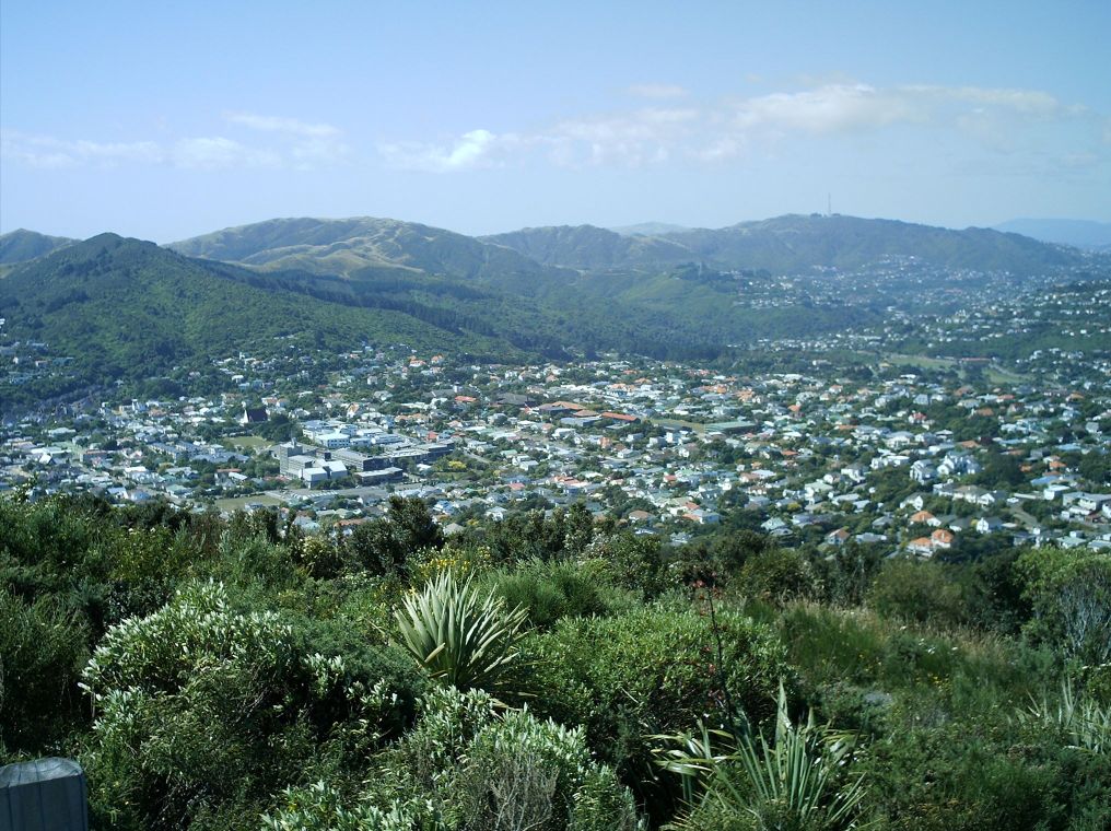 plumber in karori